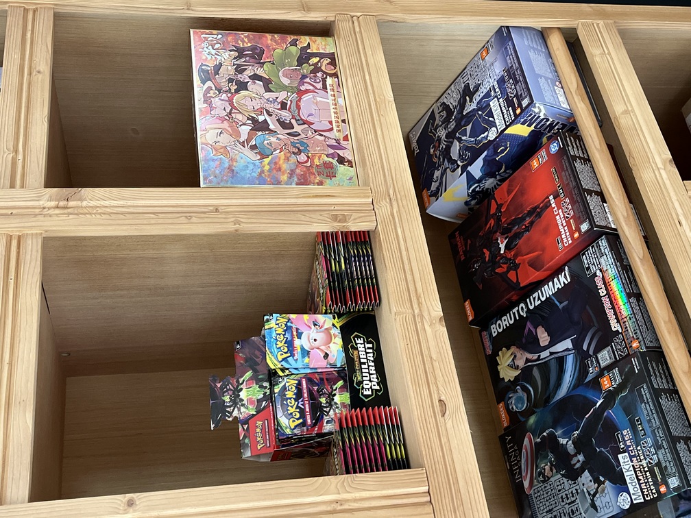 Pokémania a fêté les 30 ans Pokémon au Domaine de Vincine — photo 4