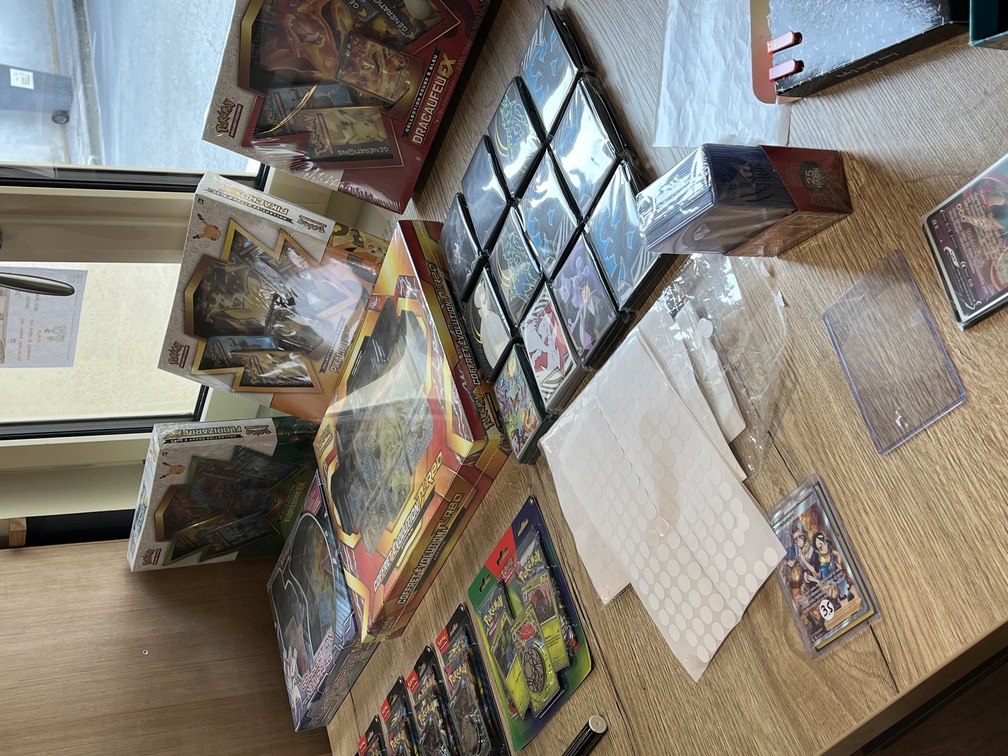 Pokémania a fêté les 30 ans Pokémon au Domaine de Vincine — photo 6